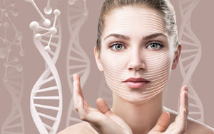 Beauty and Anti-Aging from the Inside Out