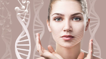Beauty and Anti-Aging from the Inside Out
