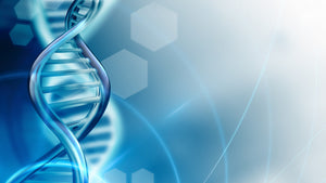 Avoid these supplements and ingredients for a healthier life